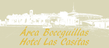 area-boceguillas